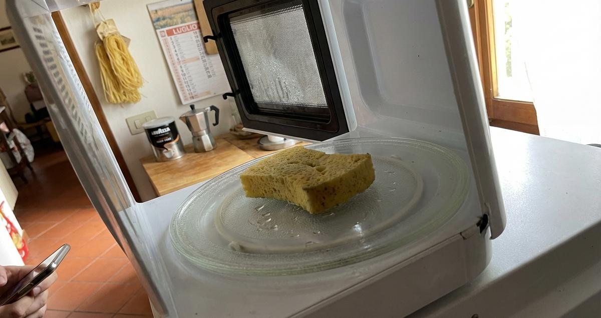 spugna-umida-nel-microonde-trucco-poco-conosciuto